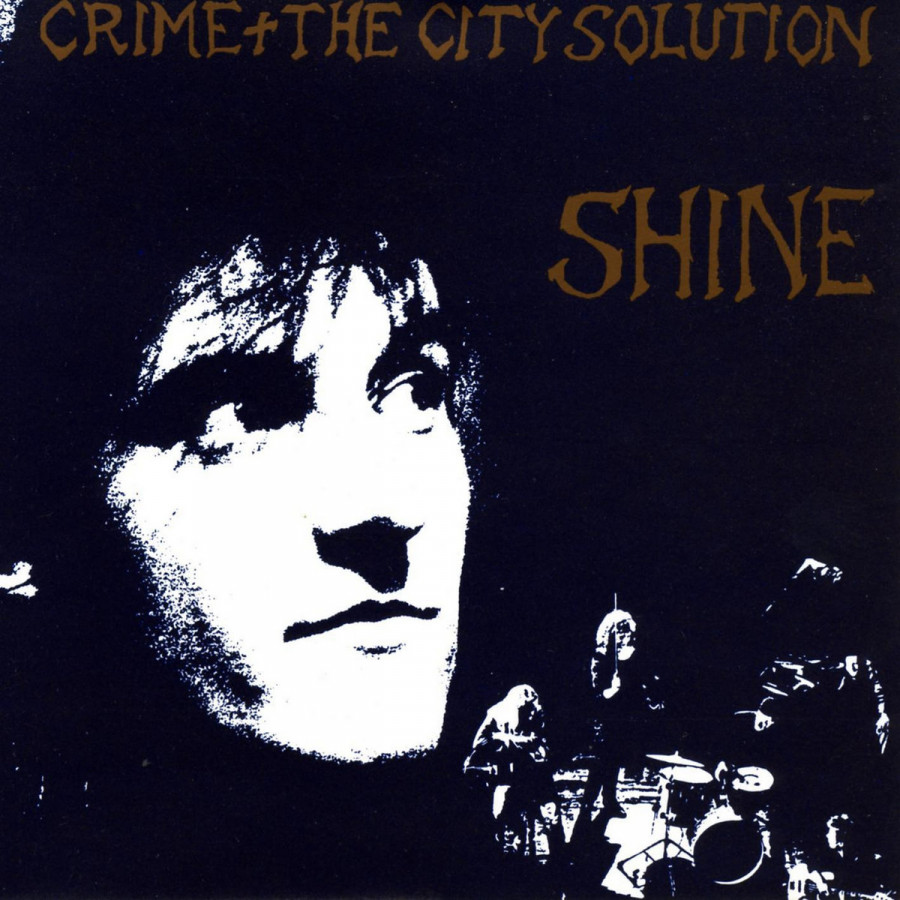 Crime & the City Solution - Shine, LP