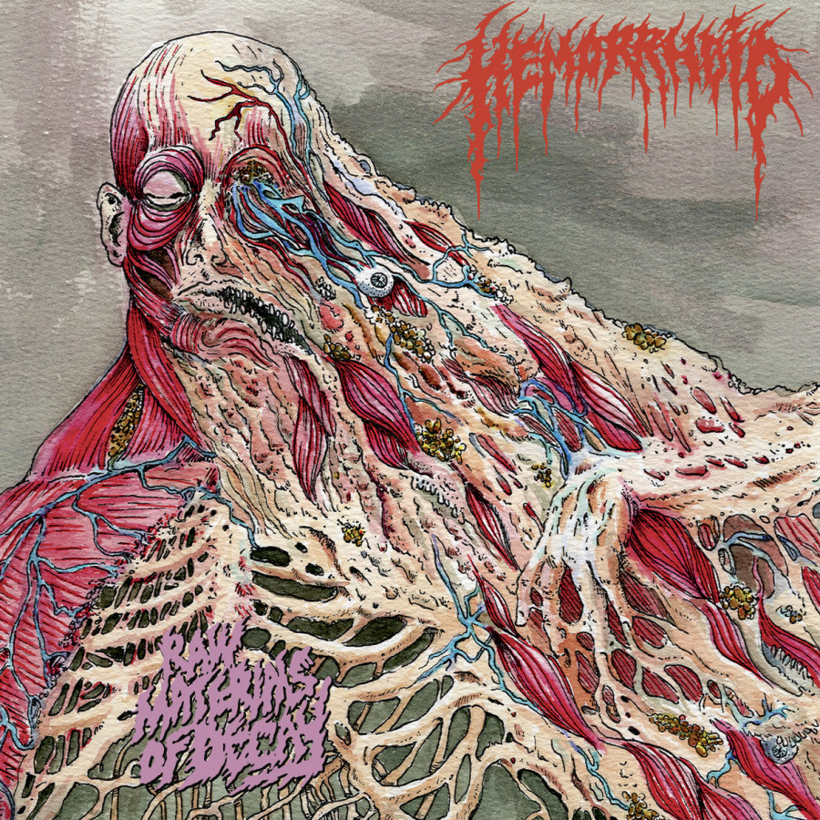 Hemorrhoid - Raw Materials of Decay, LP
