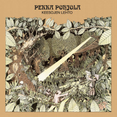 Pekka Pohjola - Keesojen lehto / Mathematicians Air Display, LP