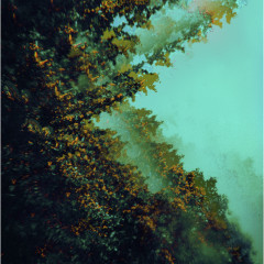 Polymoon - Caterpillars of Creation