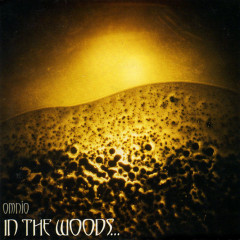 In The woods - Omnio, 2LP (clear)