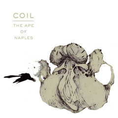 Coil - The Ape of Naples, 3LP