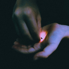 Bambara - Stray, LP