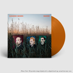 Cleaning Women - Washer, LP (Orange)