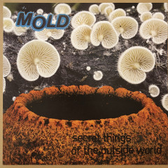Mold - Secret Things of the Outside World, LP
