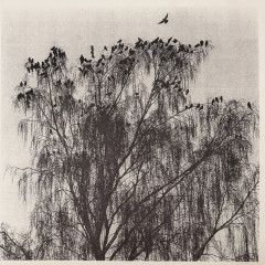 Nærværet -  Når Man Ser Inn I En Annens Hjerte, LP