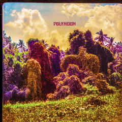 Polymoon - Chrysalis, LP (Cream/Green)