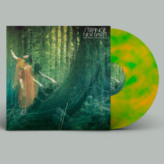 Strange New Dawn - New Nights Of Euphoria, LP (Transparent Orange/Green)