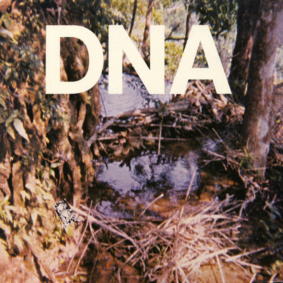 DNA - A Taste Of DNA, 12"