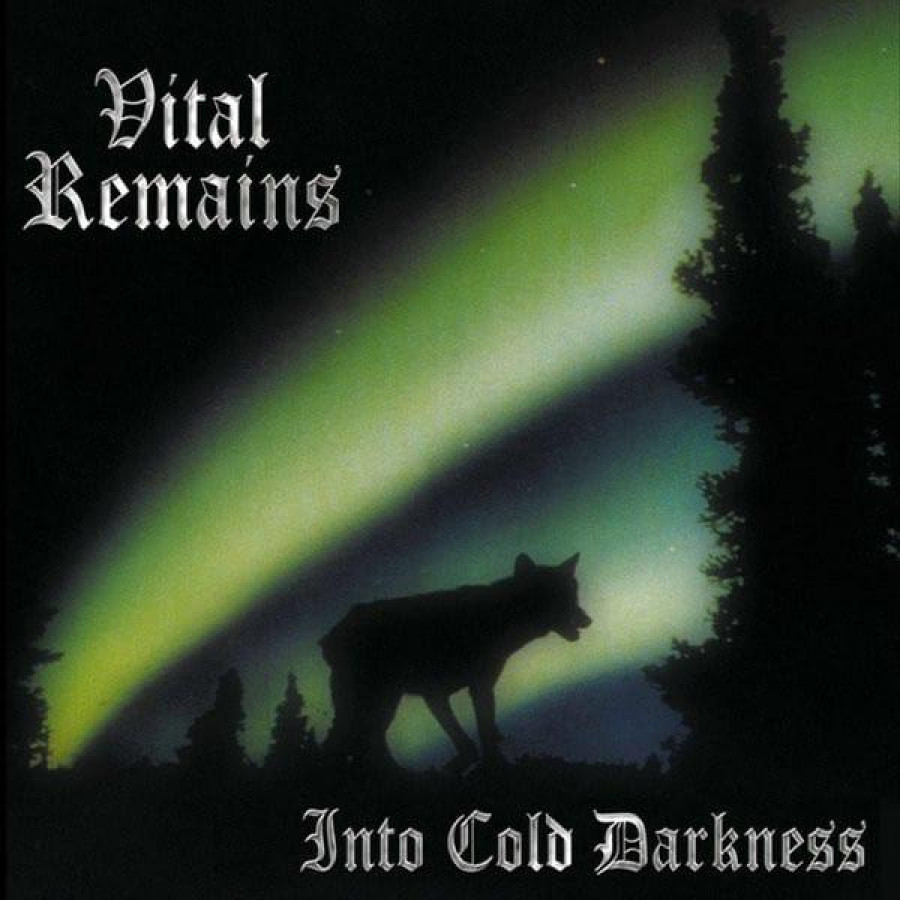 Vital Remains - Into Cold Darkness, LP