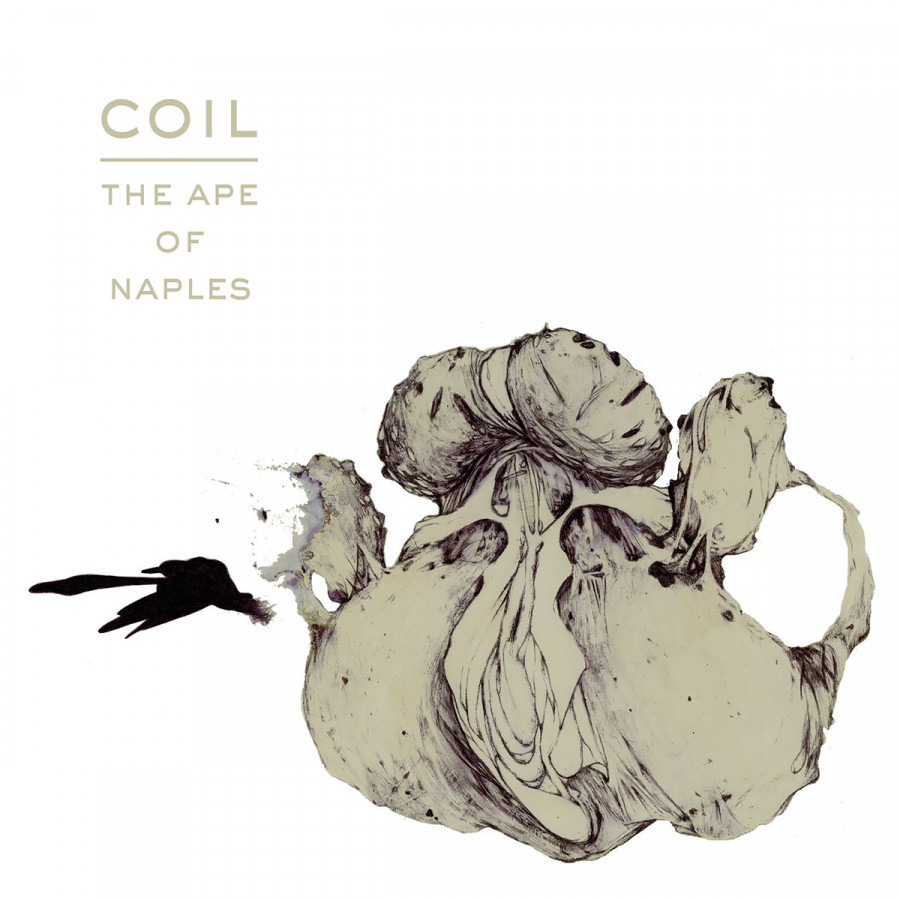Coil - The Ape of Naples