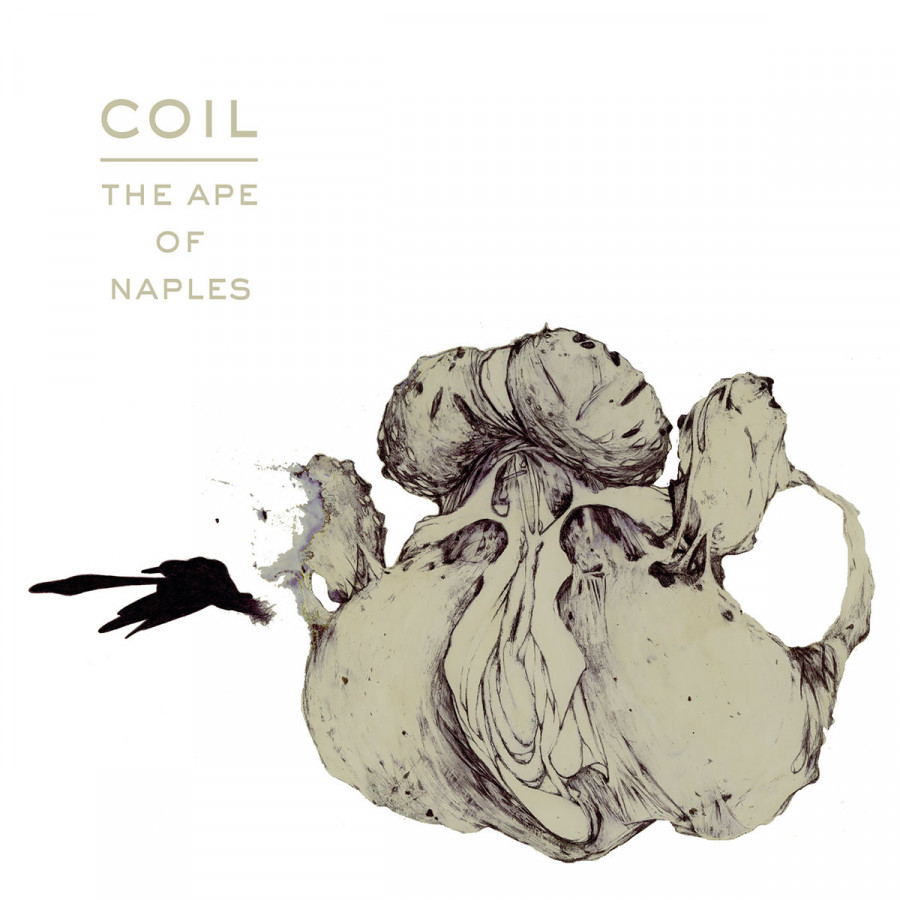 Coil - The Ape of Naples, 3LP