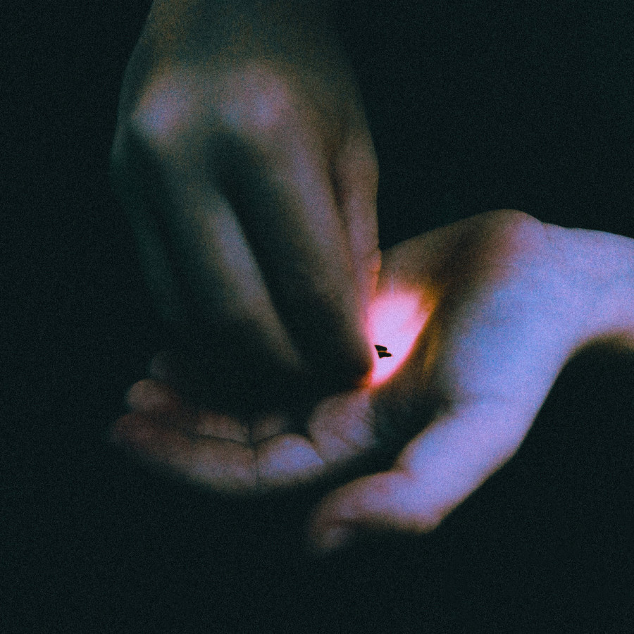 Bambara - Stray, LP