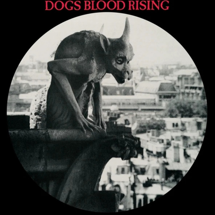 Current 93 - Dogs Blood Rising, Picture LP