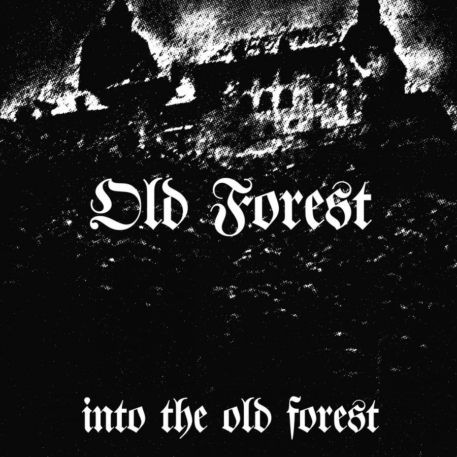 Old Forest - Into the Old Forest, LP