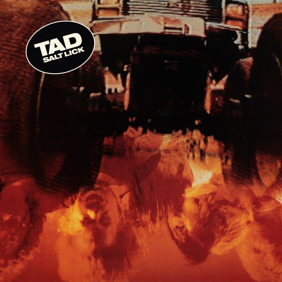 TAD - Salt Lick, MLP